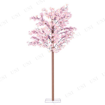 ڼʡ 240cm Ωڥå