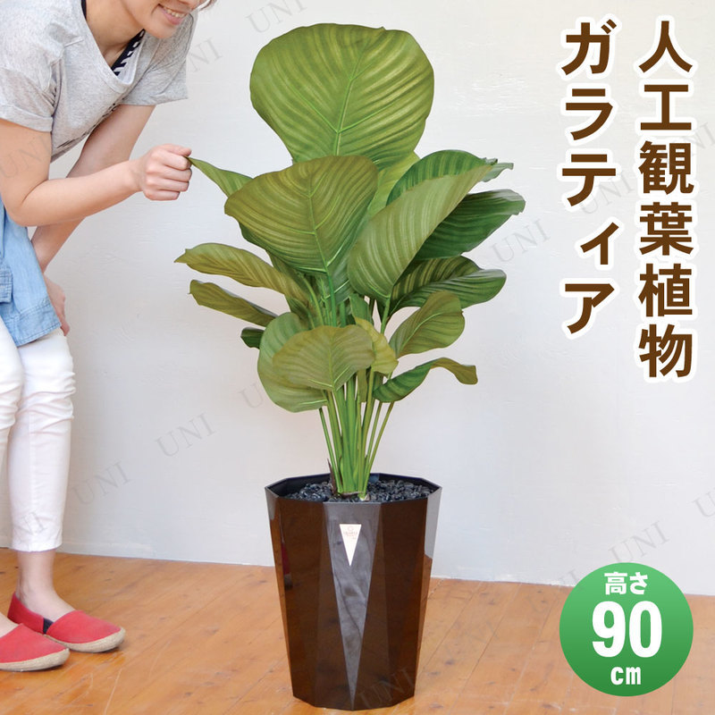 ڼʡ ե꡼  ƥ 90cm