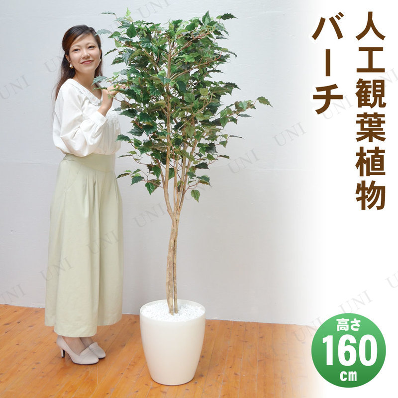 ڼʡ ե꡼  С 160cm