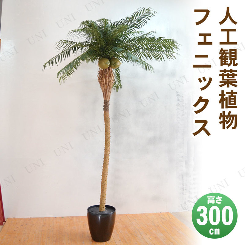 ڼʡ ե꡼  ե˥å 300cm