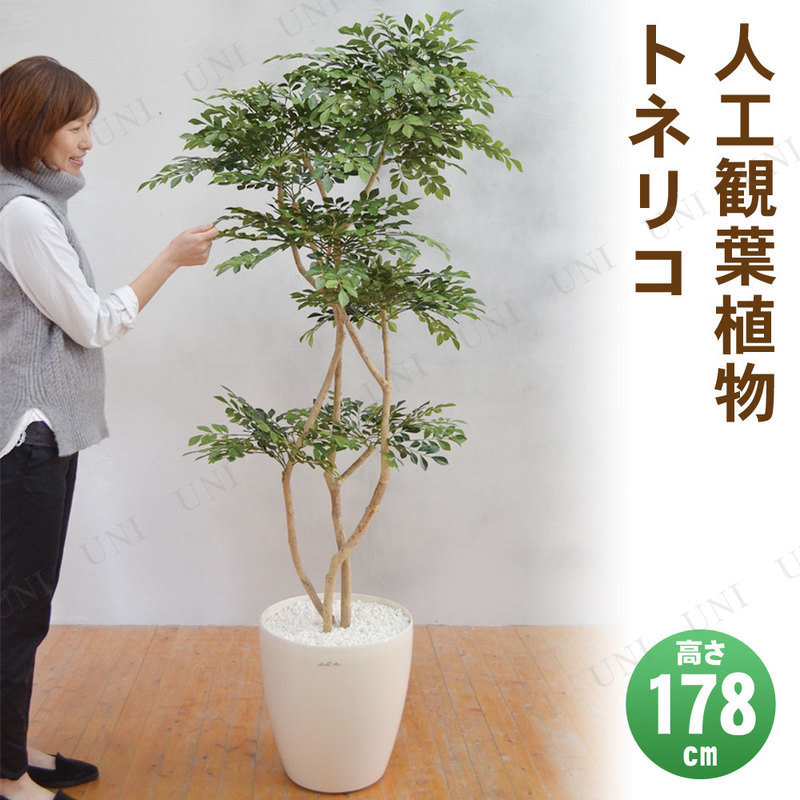 【取寄品】 フェイクグリーン 光触媒 トネリコ 178cm