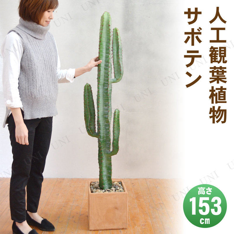 【取寄品】 フェイクグリーン 光触媒 サボテン 153cm