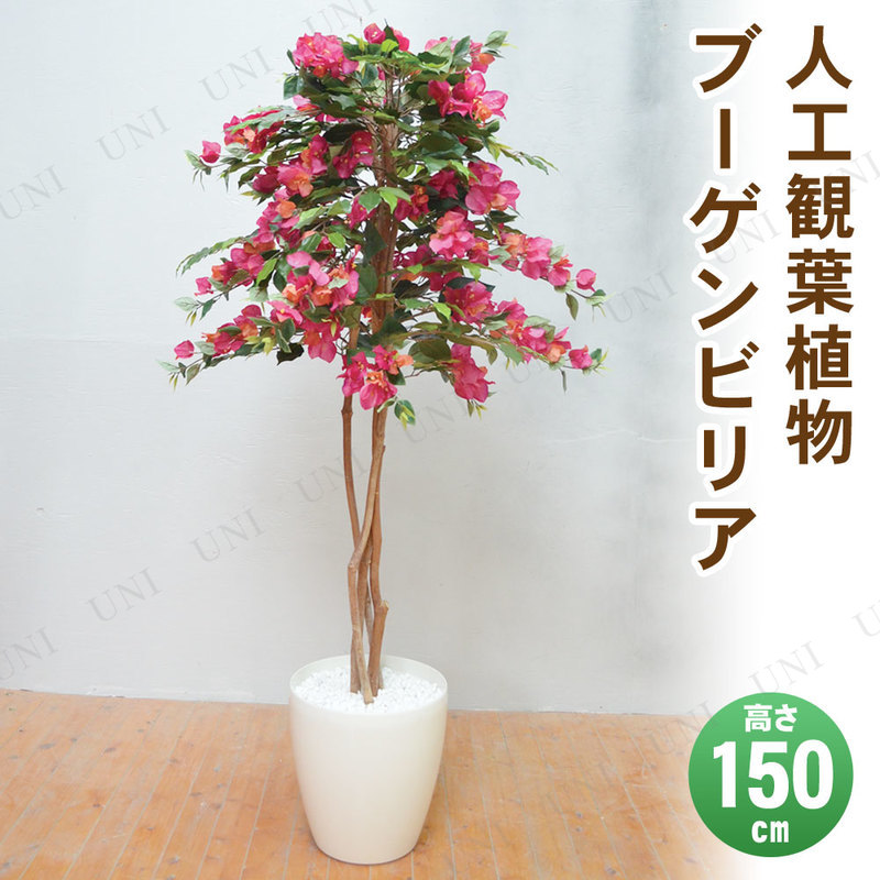 【取寄品】 フェイクグリーン 光触媒 ブーゲンビリア 150cm