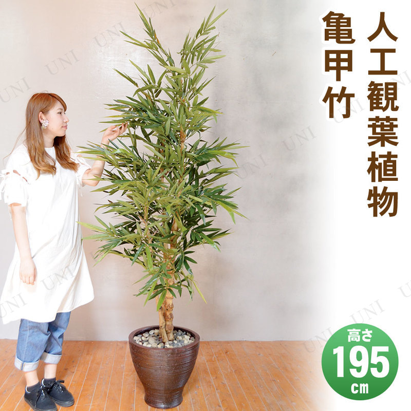 【取寄品】 フェイクグリーン 光触媒 亀甲竹 195cm