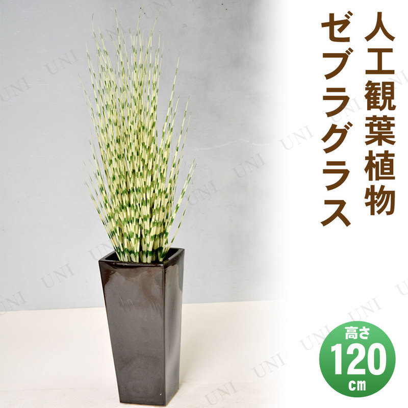 【取寄品】 フェイクグリーン 光触媒 ゼブラグラス 120cm