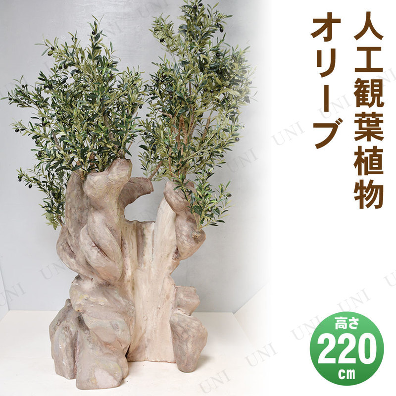 【取寄品】 フェイクグリーン 光触媒 オリーブ 220cm