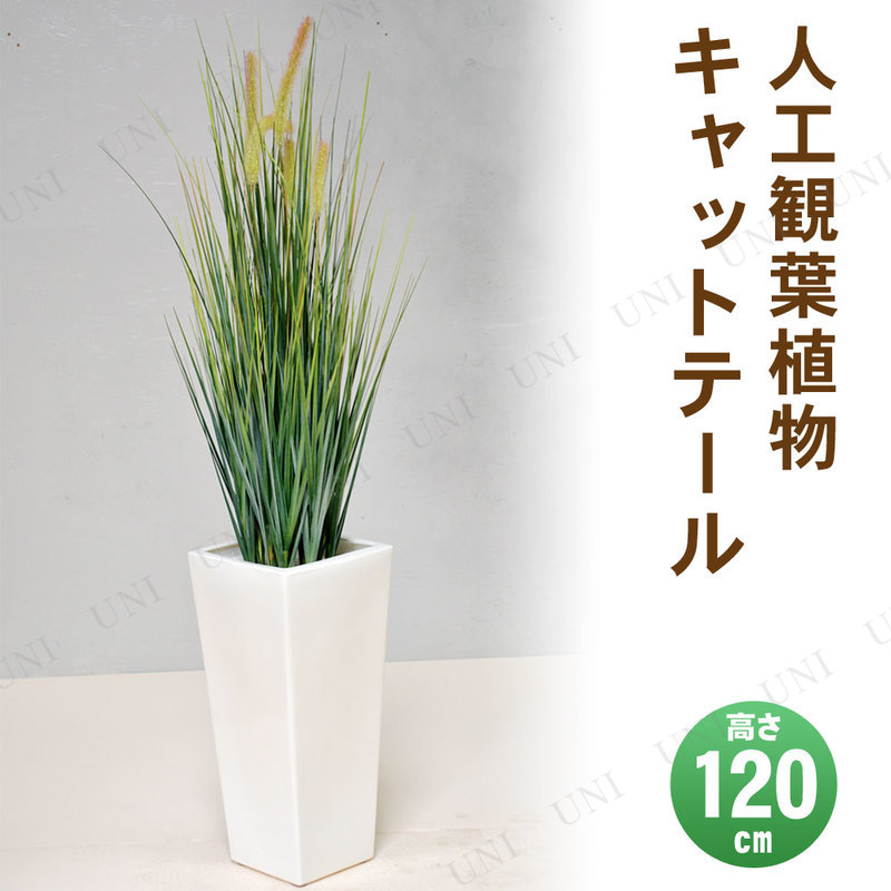 【取寄品】 フェイクグリーン 光触媒 キャットテール 120cm