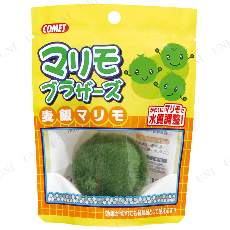 ڼʡ ȥ å ޥ֥饶 ӥޥ