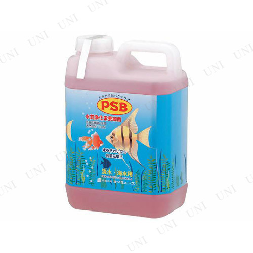ڼʡ ߥ塼 PSB 2.1L