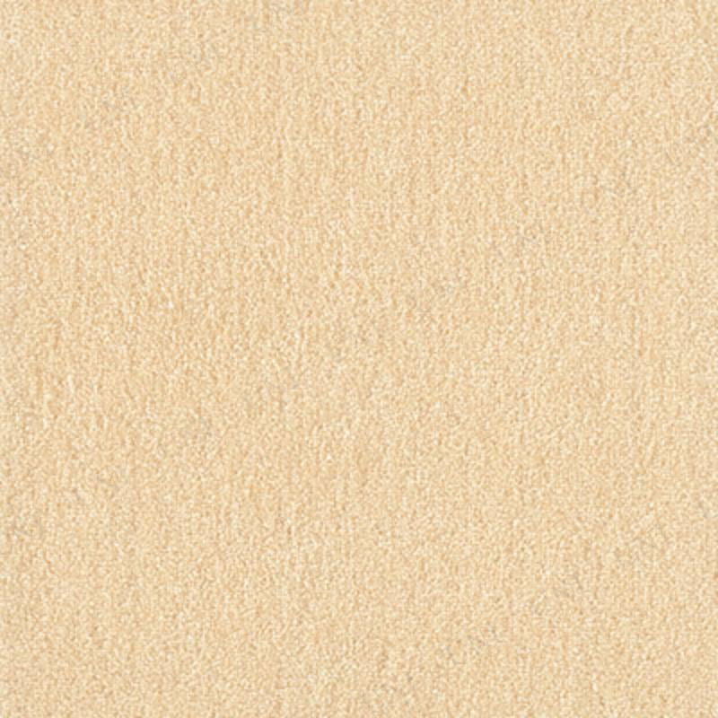 ڼʡ å ڥåȥե WPF02 ꡼