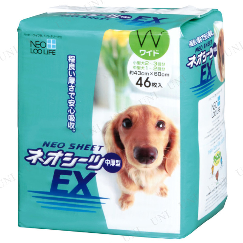 ڼʡ 硼 ͥEX 磻 46