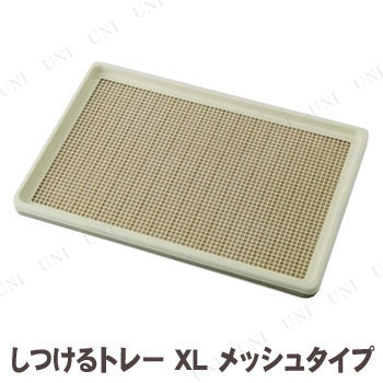 ڼʡ ܥ Ĥȥ졼 XL å奿