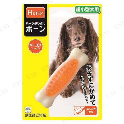 ڼʡ ϡ(Hartz) ǥ󥿥 ܡ Ķ