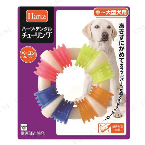 ϡ(Hartz) ǥ󥿥 塼 緿