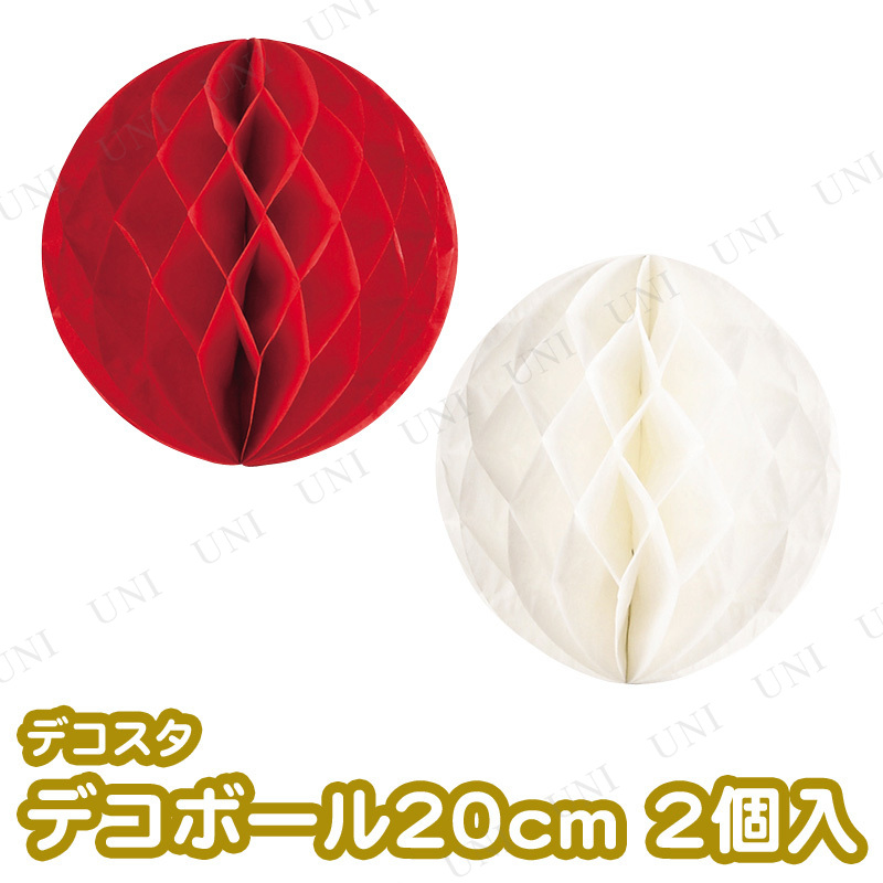 ꡡ [10å] ǥ ǥܡ20cm 2 ۥ磻ȡå