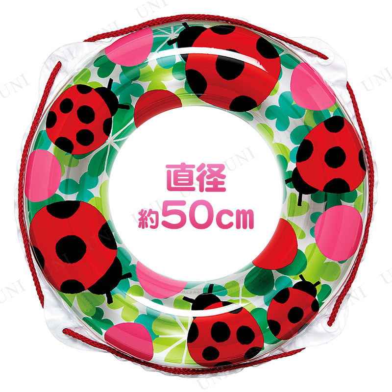 ⤭ 50cm ƤȤष