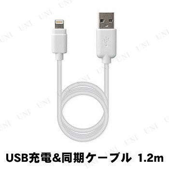 カシムラ USB充電＆同期ケーブル 1.2m LN ホワイト KL-16