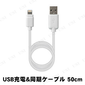 カシムラ USB充電＆同期ケーブル 50cm LN ホワイト KL-15