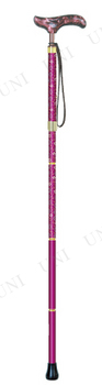 ڼʡ ΥT-1KOMON(ޤꤿ߾) ԥ