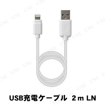 カシムラ USB充電＆同期ケーブル 2m LN ホワイト KL-17