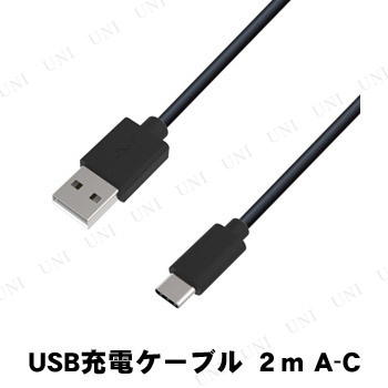 カシムラ USB充電＆同期ケーブル 2m A-C AJ-574
