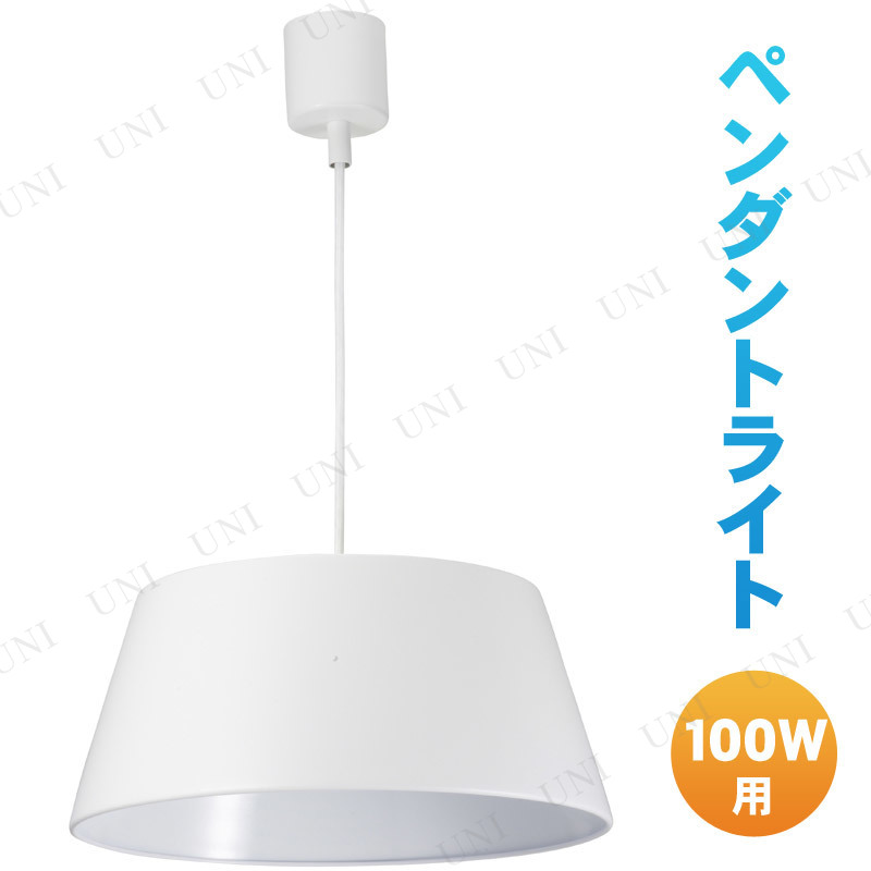 ڼʡ ڥȥ饤 100W ۥ磻 ŵ LT-Y10BW-W