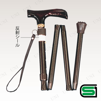 ڼʡ ()ڹʼȿͥդ