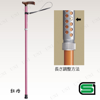 ڼʡ 륱(Ķ̾)S 