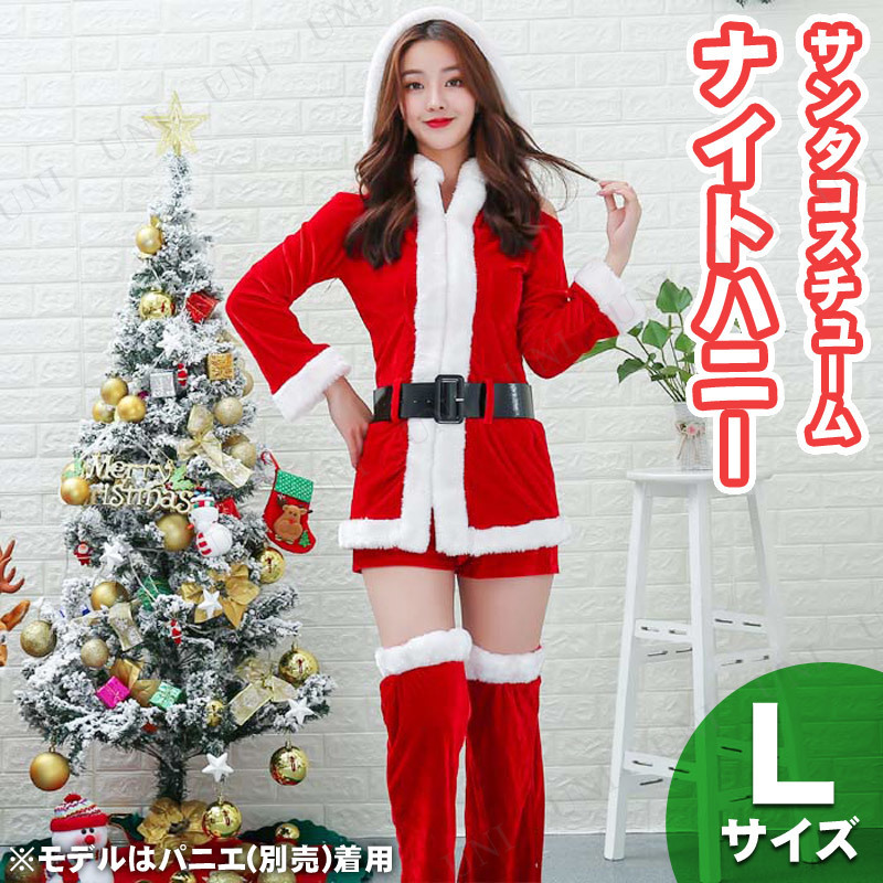 【取寄品】 サンタ　コスプレ ナイトハニー L