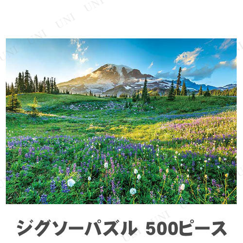 ѥ 500ԡ ڤʤޥȥ졼˥