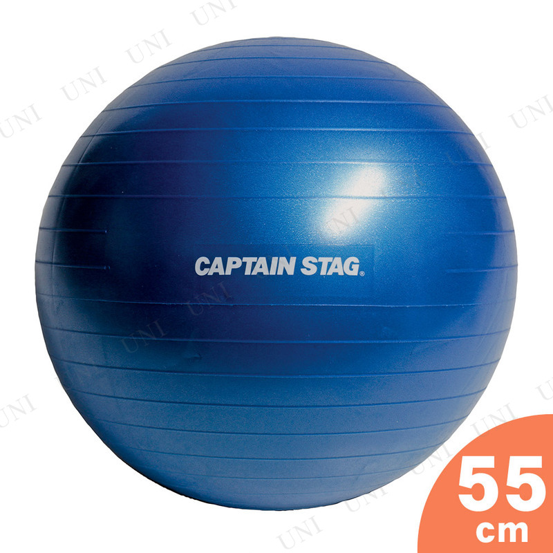 ڼʡ CAPTAIN STAG(ץƥ󥹥å) Vit Fit եåȥͥܡ ľ55cm ֥롼 UR-860