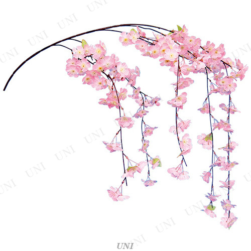 [6点セット] 135cm シダレ桜