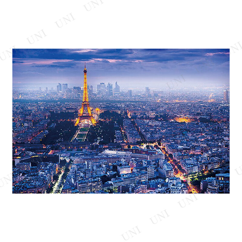 View Over Paris ݥ