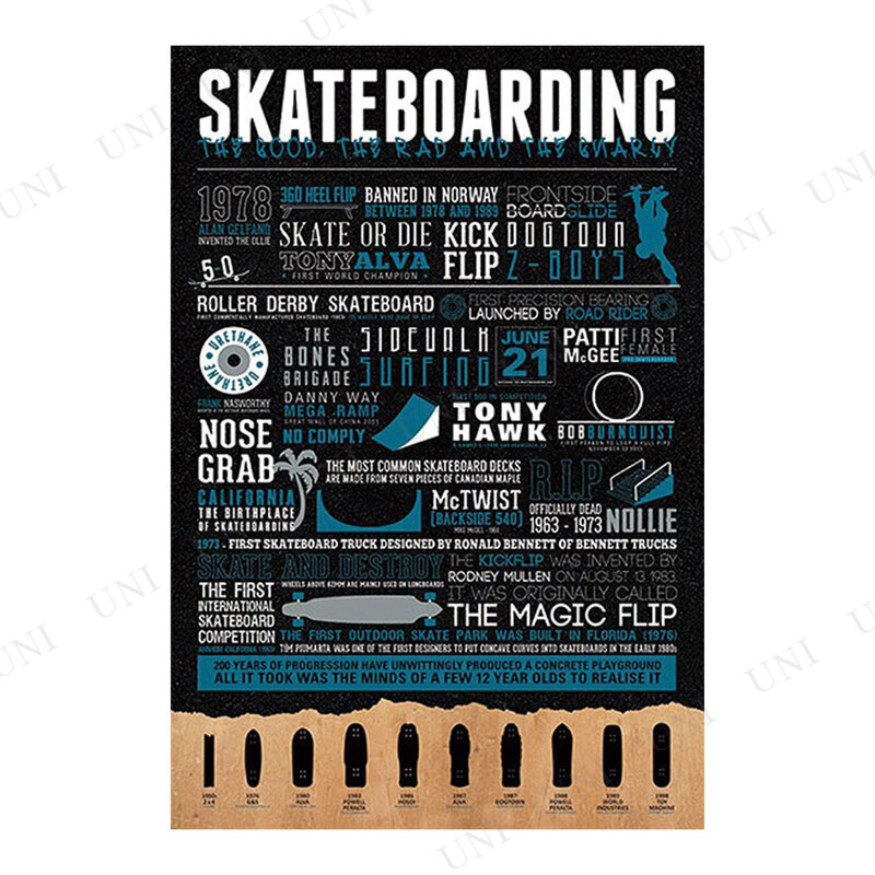 ڼʡ Skateboarding ݥ