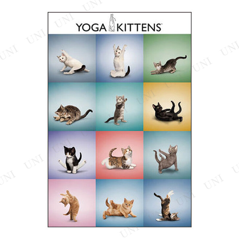 ڼʡ Yoga Kittens Grid ݥ