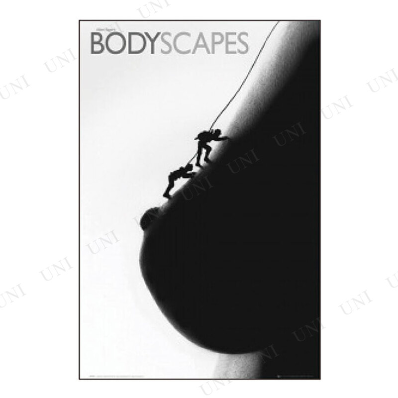 ڼʡ Bodyscape climbers  ݥ