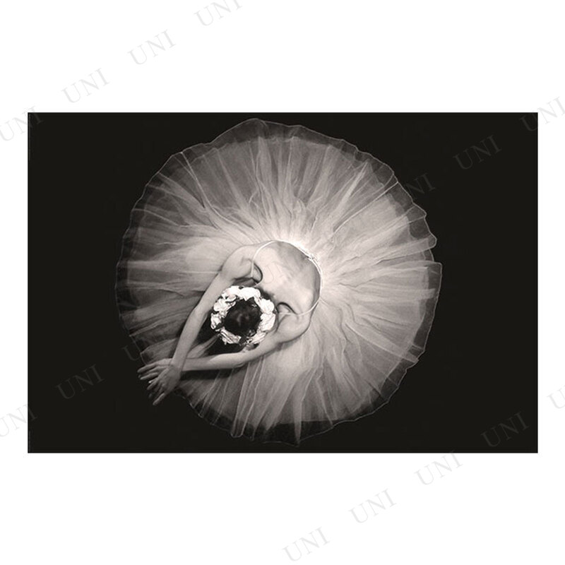 ڼʡ Ballerina ݥ