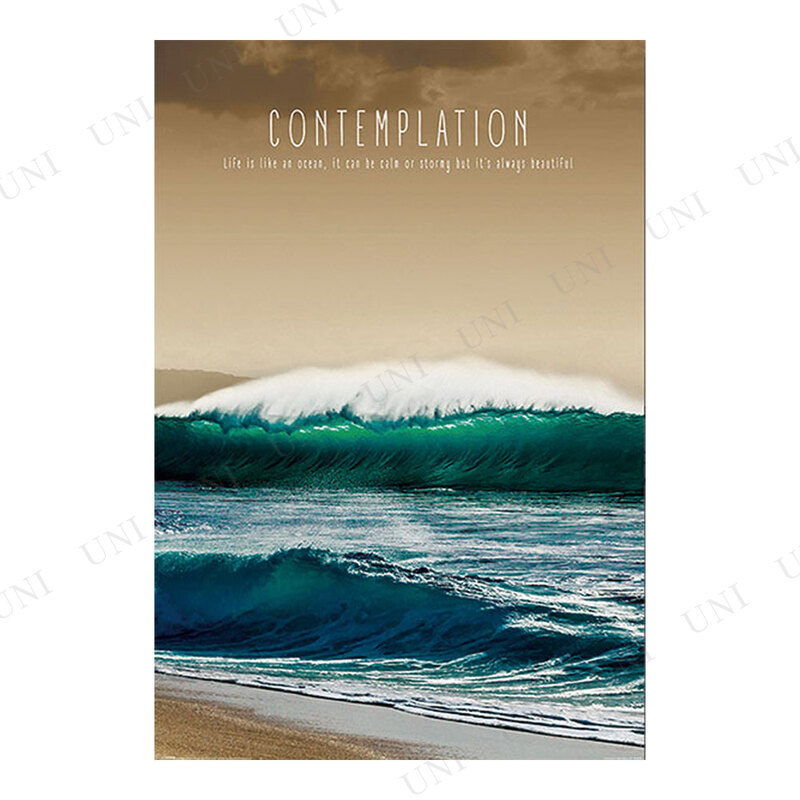 ڼʡ Contemplation ݥ