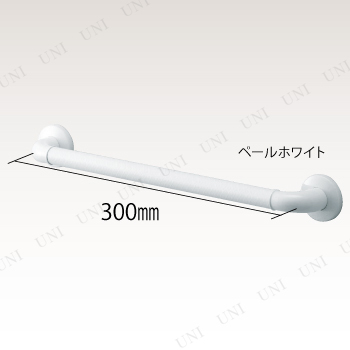 ڼʡ ƥꥢСF꡼ եȥեå IC300