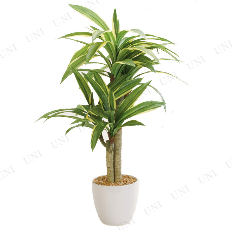 ե꡼  ɥ饻ʥĥ꡼ 72cm