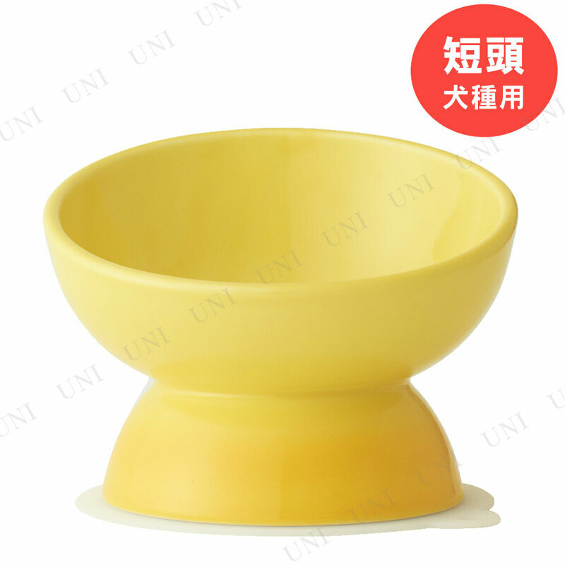 ڼʡ ûƬѿ 