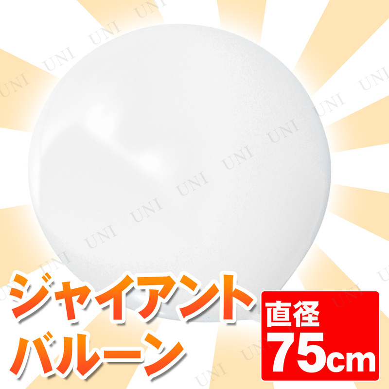 ڼʡ [2å] 㥤ȥХ롼 30 75cm ۥ磻