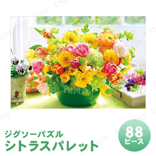 ڼʡ ѥ 88ԡ ȥ饹ѥå