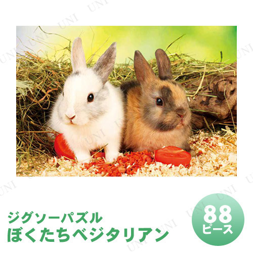 ڼʡ ѥ 88ԡ ܤ٥ꥢ