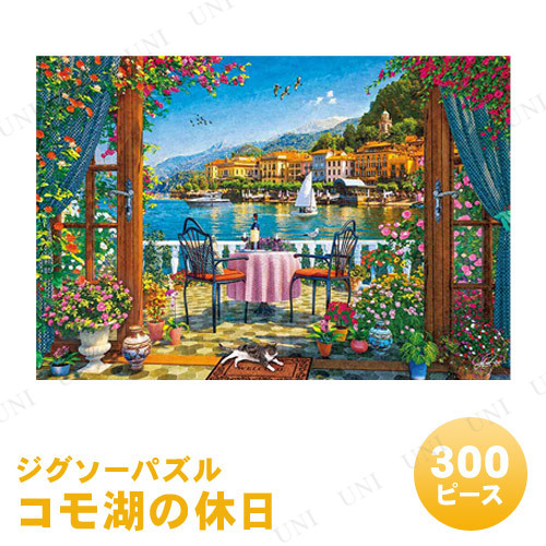 ڼʡ ѥ 300ԡ Фε ɥߥ˥ǥ