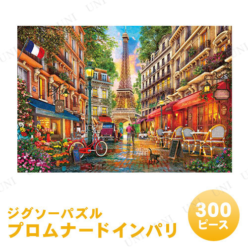 ѥ 300ԡ ץʡ  ѥ ɥߥ˥ǥ