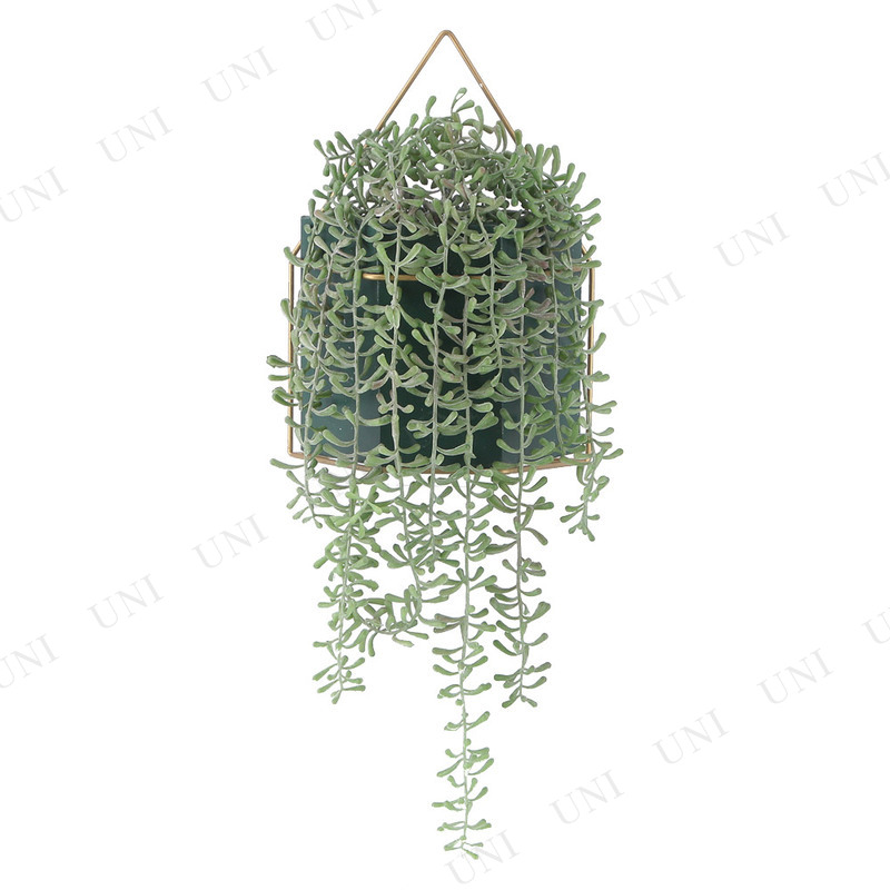 ե꡼ ߥťͥå쥹 ϥ󥮥