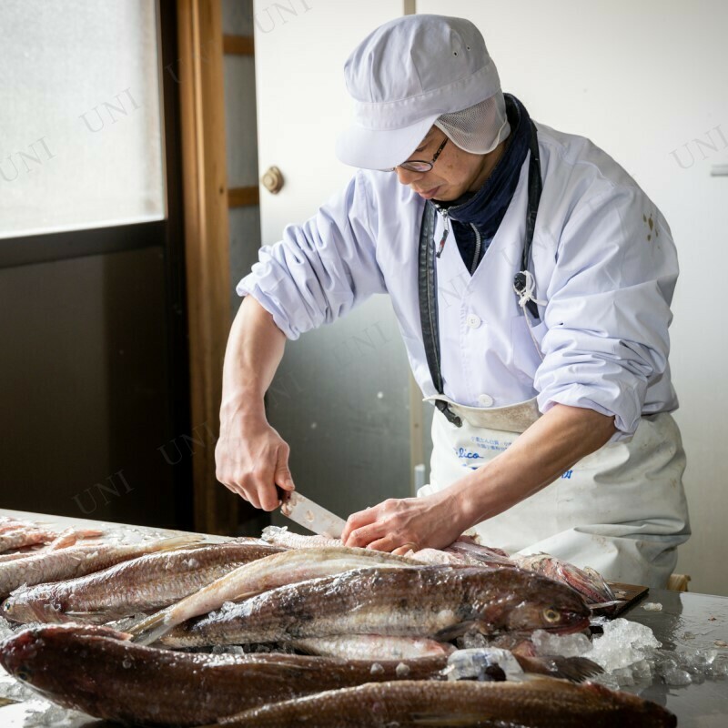 無添加いか団子　【ふるさと山口県産品】　(4個入)　10点セット]　国産鮮魚100%　山口県産品お取り寄せ通販　三好蒲鉾　揚げかまぼこ