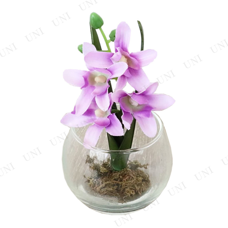 ڼʡ 饹 ѡץե(¤դ)