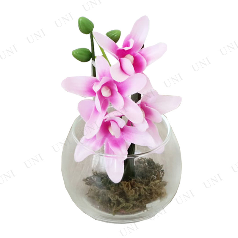 ڼʡ 饹 ԥ󥯥ե(¤դ)